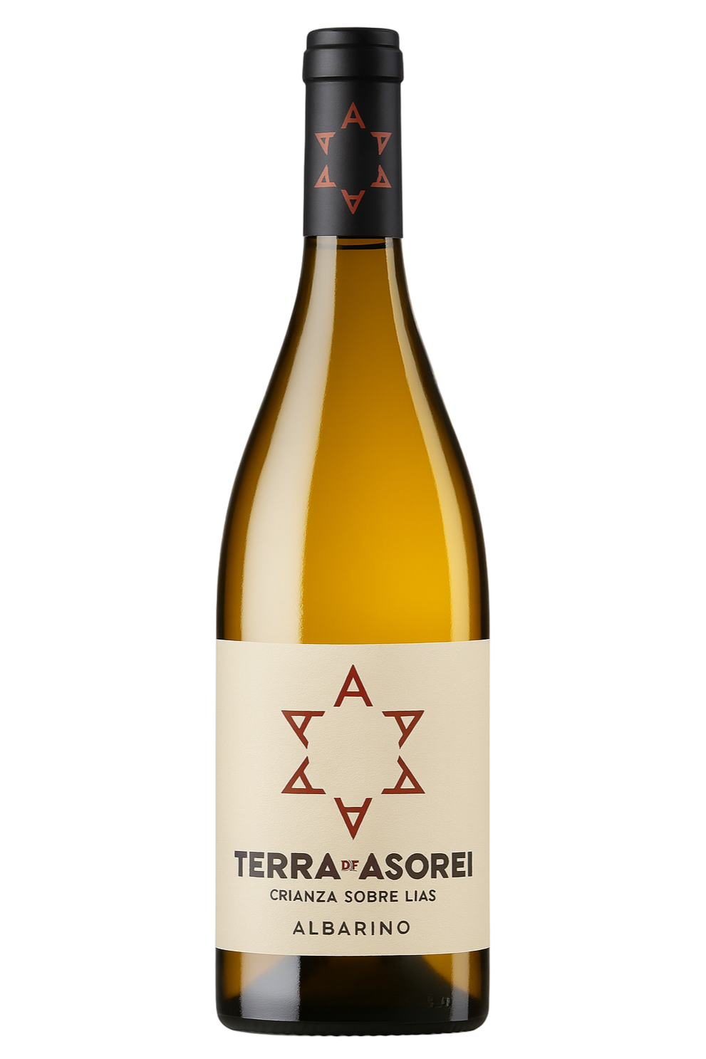Terra de Asorei
