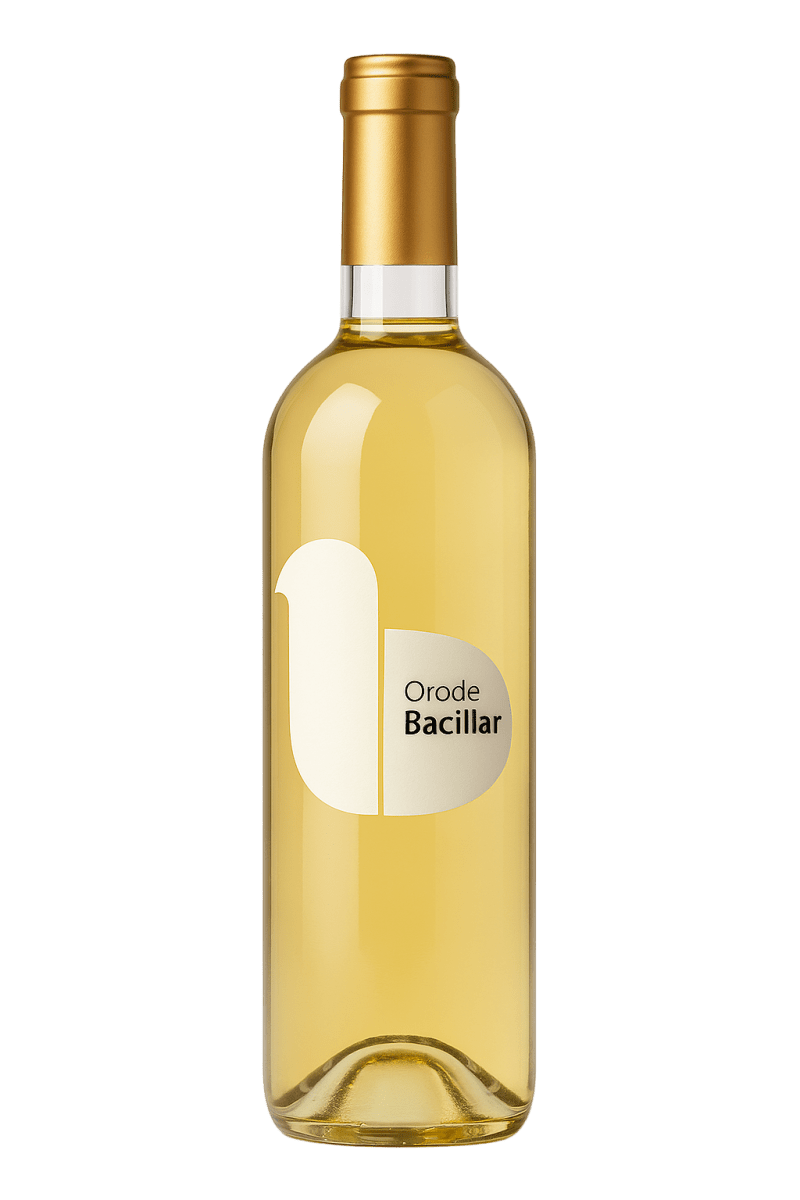 Velasco e Hijos Orode Bacillar - Bodega75WHITE