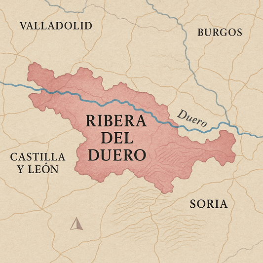 Ribera del Duero & Tempranillo: The Bold Heart of Spanish Red Wine - Bodega75