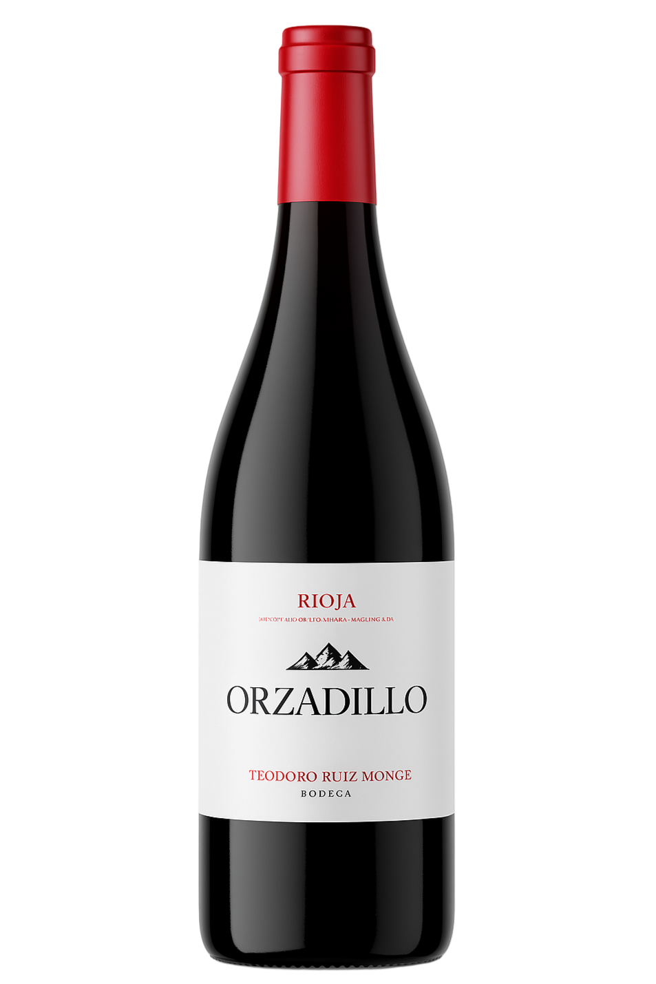 Teodoro Ruiz Monge Orzadillo