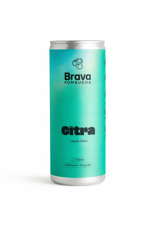 Brava Kombucha Citra – Artisan Spanish Kombucha - Bodega75
