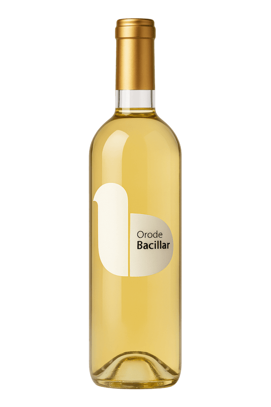 Velasco e Hijos Orode Bacillar - Bodega75WHITE